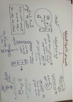 resized(2) (1).PDF